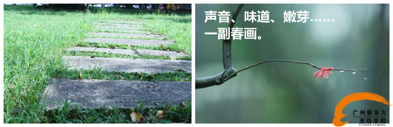 广州新东方烹饪学校